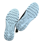 Ecco Golf Biom C4 BOA golf shoe